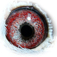 B2016654 08 Agneske eye
