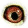 B2024149 17 Compact eye