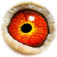 B6072278 14 BroerLaura eye