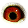 B6124098 18 SonPajot eye