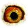 B6124103 18 SonTrikkie eye