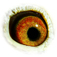 B6124122 18 Astra eye