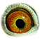 B6204360 19 MagicStar eye