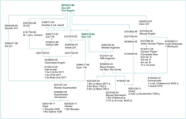 Schema Engels