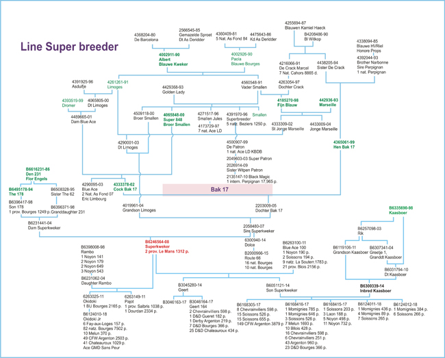 Schema Superkweker