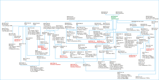 Schema Vandewouwer