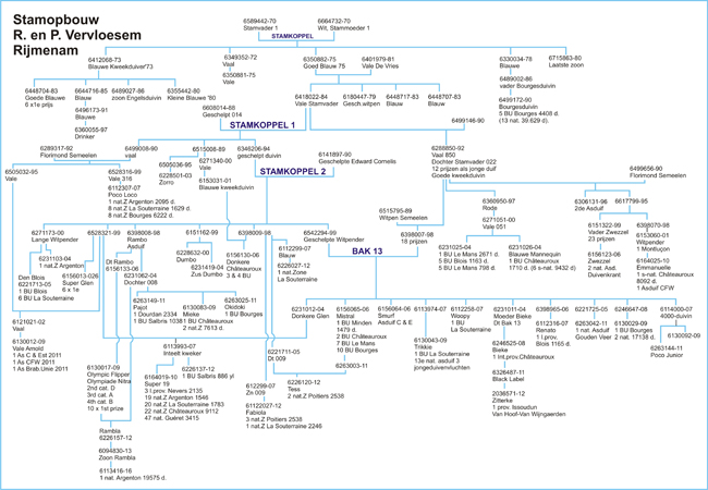 Schema oudesoort