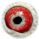 B6285003 15 HfStMaria eye
